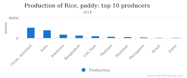 production of rice in the world